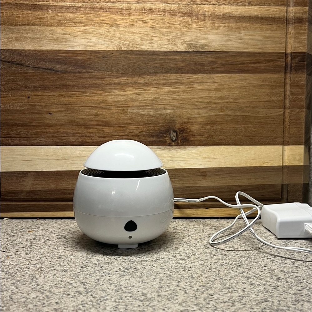 Small White Spherical Oil Diffuser